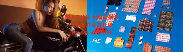 apvp Алзамай