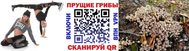 Псилоцибиновые грибы мухоморы  kraken рабочий сайт  Шимановск  купить наркоту 